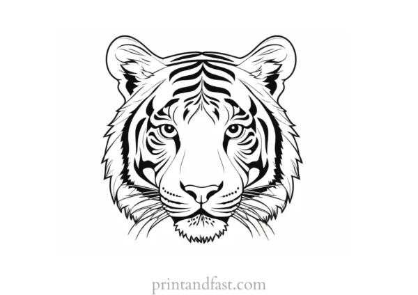 simple tiger coloring page