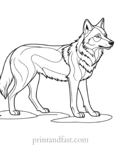 simple wolf coloring page