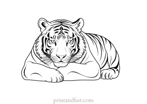 sleeping tiger coloring page