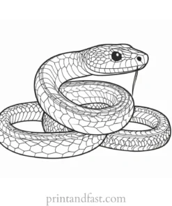 snake coloring page advanced