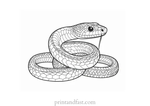 snake coloring page advanced