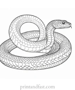 snake coloring page beginner