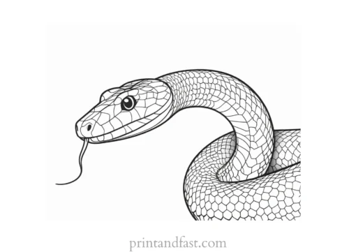 snake coloring page black and white