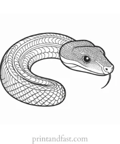 snake coloring page cute