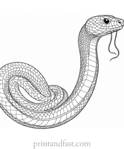 snake coloring page easy