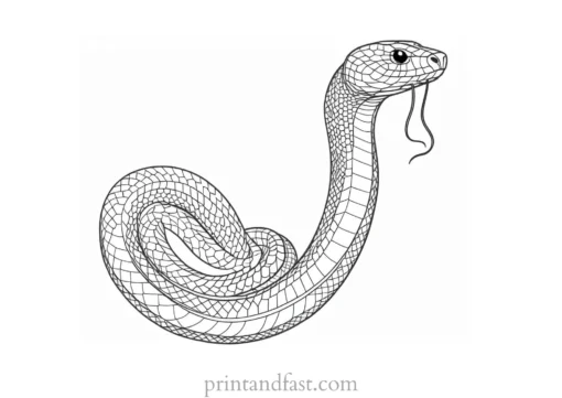 snake coloring page easy