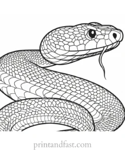 snake coloring page for adults