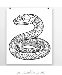 snake coloring page printable