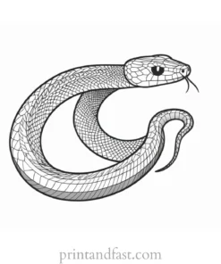 snake coloring page simple