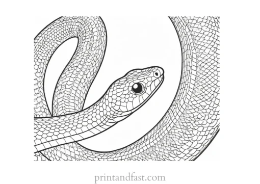 snake coloring page with scales