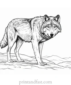 snowy wolf coloring sheet