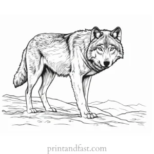 snowy wolf coloring sheet