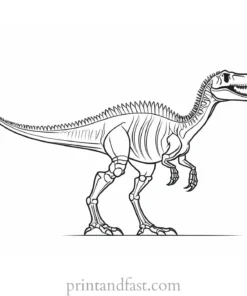 spinosaurus coloring page skeleton