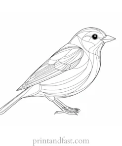 spring coloring page bird