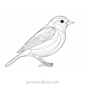 spring coloring page bird