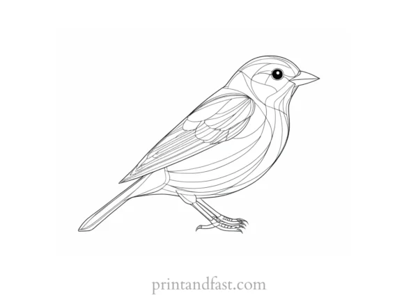 spring coloring page bird