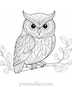 spring owl coloring page