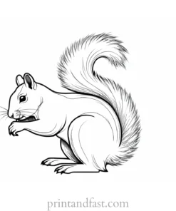 squirrel coloring page outline