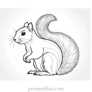 squirrel coloring page printable