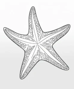 starfish fish coloring page