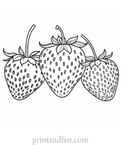 strawberry coloring page educational