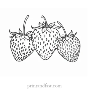 strawberry coloring page educational