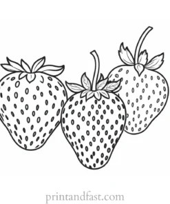 strawberry coloring page realistic