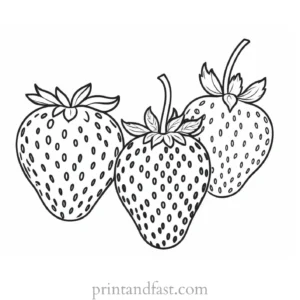 strawberry coloring page realistic