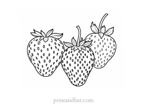 strawberry coloring page realistic