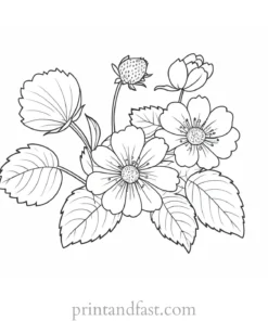 strawberry coloring page with flowers