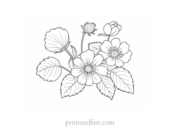 strawberry coloring page with flowers