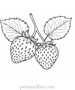 strawberry coloring page with leaves