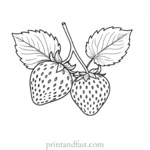 strawberry coloring page with leaves