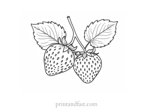 strawberry coloring page with leaves