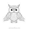 summer owl coloring page