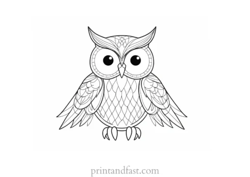 summer owl coloring page