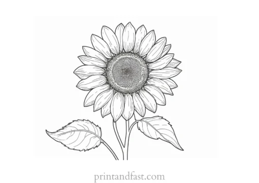 sunflower coloring page detailed