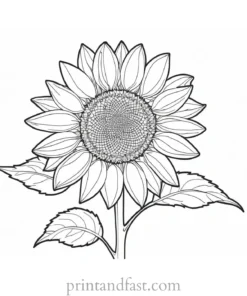 sunflower coloring page easy