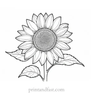 sunflower coloring page easy