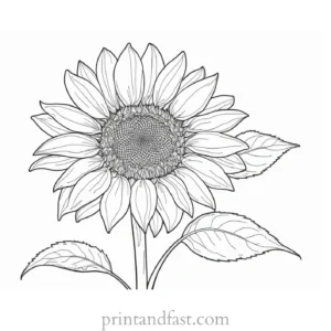 sunflower coloring page for adults