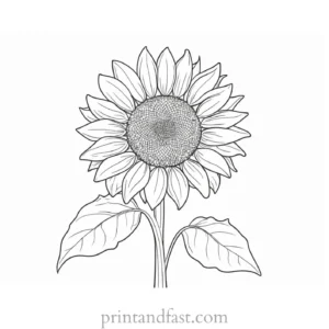 sunflower coloring page for beginners