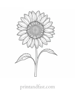 sunflower coloring page for kids