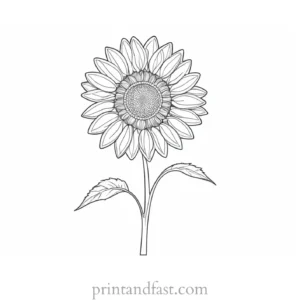 sunflower coloring page for kids