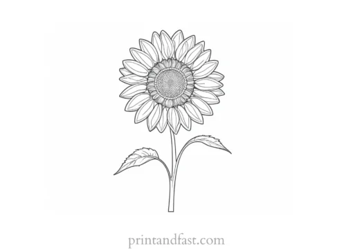 sunflower coloring page for kids