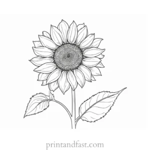 sunflower coloring page free