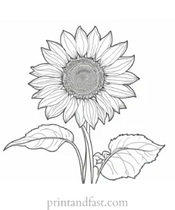 sunflower coloring page hard