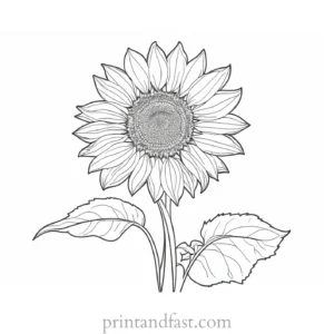 sunflower coloring page hard