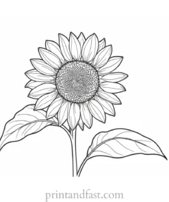 sunflower coloring page online