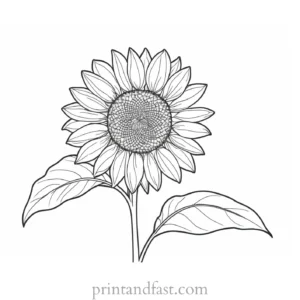 sunflower coloring page online