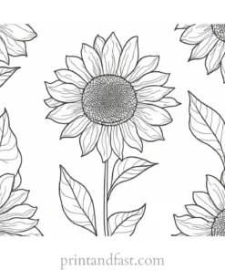 sunflower coloring page pattern